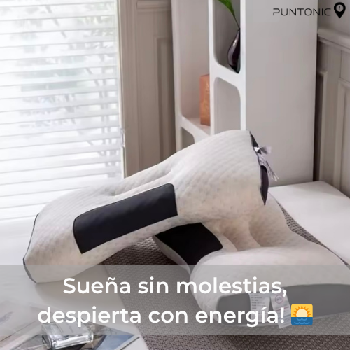 Pack x2 ErgoDream - Almohada Cervical